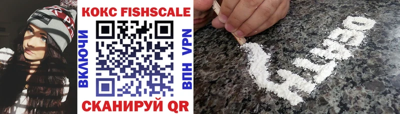 КОКАИН Fish Scale  MEGA ссылка  Окуловка 