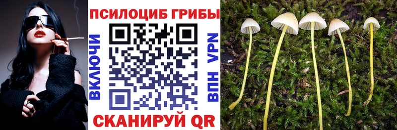 сколько стоит  Окуловка  Галлюциногенные грибы мицелий 